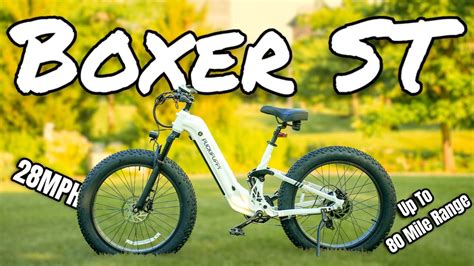 boxer electric bike|puckipuppy electric bike pros and cons.